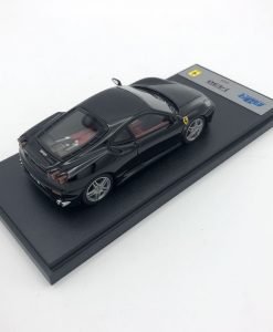 IMG 0982
